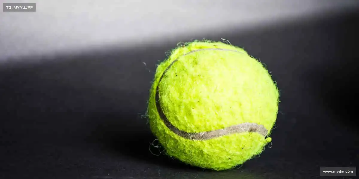 行业领先的理由